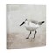Stupell Industries Lone Sandpiper Bird Portrait Canvas Wall Art